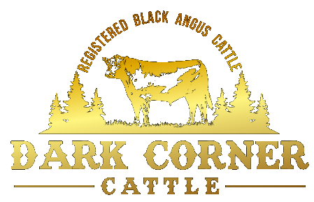 Dark Corner Cattle logo